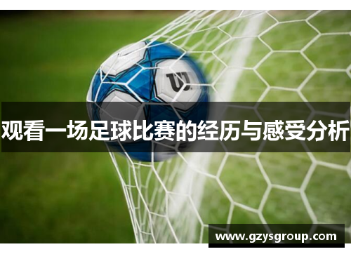 观看一场足球比赛的经历与感受分析