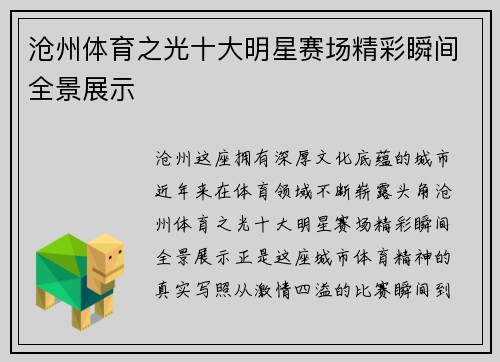 沧州体育之光十大明星赛场精彩瞬间全景展示